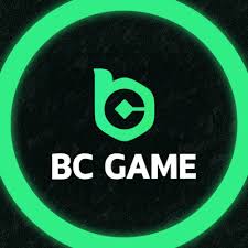 Understanding the Terms and Conditions of BC.Game